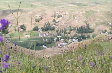 Yüksekova'da Bir Köy Korona Virüs Bedeniyle Karantinaya Alındı