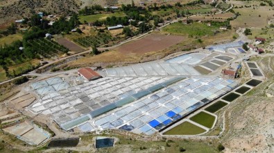 Bunaltıcı Sıcaklar 3 Bin Yıllık 'Kemah Tuzu'na Bereket Getirdi