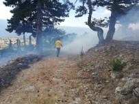 Günyazı Köyü'nde Orman Yangını Haberi