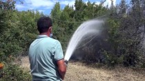 Kastamonu'da Çıkan Örtü Yangını Kontrol Altına Alındı Haberi
