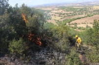 Kula'da 2 Yer Haricinde Mangal Yakmak Yasaklandı