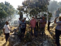 Kulp'ta Orman Yangını Vatandaş, İtfaiye Ve Güvenlik Kuvvetleri Tarafından Söndürdü Haberi