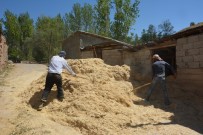 Tercan'da Kışlık Saman Hazırlıkları Sürüyor Haberi