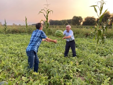 Yedikleri Karpuzdan Çıkan Çekirdekleri Dikip, Karpuz Bahçesi Yaptılar