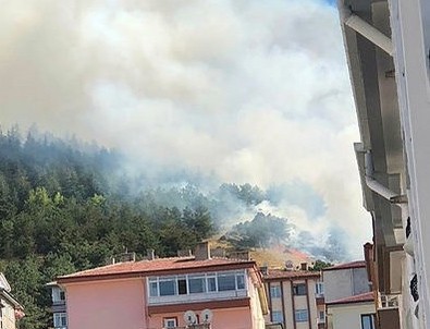 Ankara'da orman yangını! Ekiplerin müdahalesi sürüyor...