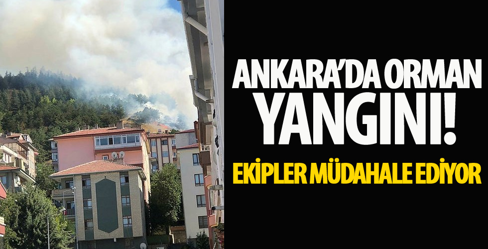 Ankara'da orman yangını! Ekiplerin müdahalesi sürüyor...