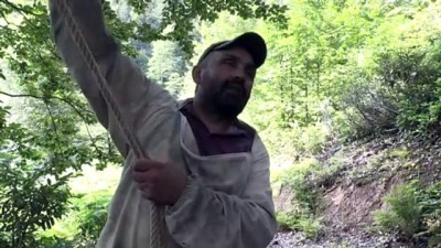 Artvin'in Zengin Doğasında Üretilen Ballar Rağbet Görüyor