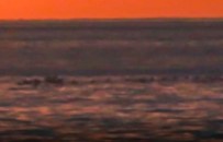 Esrarengiz Cisim 'Van Gölü Canavarı'nı Hatırlattı