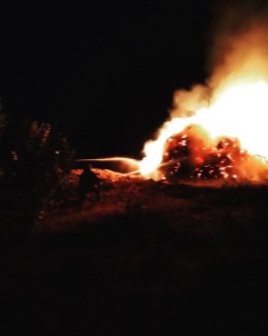 Gevaş'ta 2 Bin 700 Bağ Ot Yandı