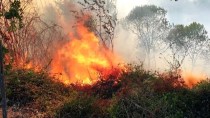 GÜNCELLEME - Osmaniye'deki Orman Yangını Kontrol Altına Alındı Haberi