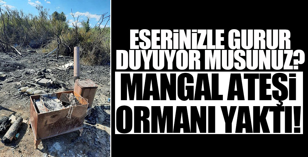 Manavgat'ta söndürülmeyen mangal ateşi, ormanı yaktı