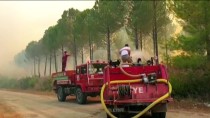 Osmaniye'de Çıkan Orman Yangınına Havadan Ve Karadan Müdahale Ediliyor Haberi