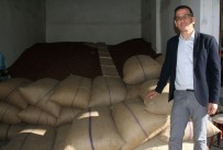 Serbest Piyasada Taze Yaş Fındık 15 Liradan Satılıyor