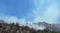 Söke'deki Orman Yangını Kontrol Altına Alındı