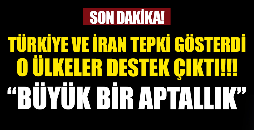 Türkiye ve İran tepki gösterdi, Almanya ile Japonya destek çıktı: Büyük bir aptallık