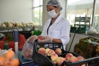 Aliağalıların Vazgeçilmezi Aliagasemtpazari.Com