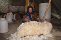 Koyun Postu İçinde Kışlık Peynir Üretiliyor Haberi