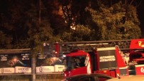 Emirgan Korusu'nda Yangın