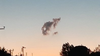 Kedi Görünümlü Bulutlar Hayran Bıraktı