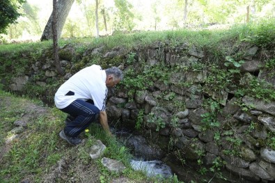 (Özel) 'Dünü Bilmek, Geleceği Bilmektir'