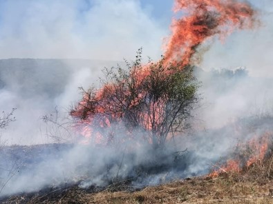 Raylardan Sıçradığı İddia Edilen Kıvılcım Yangın Çıkardı