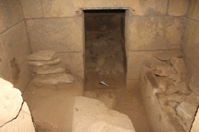 Aydın'da Bilim Dünyasını Heyecanlandıran Keşif