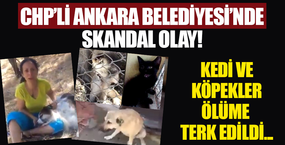 CHP’li Ankara Büyükşehir Belediyesi’nden büyük skandal