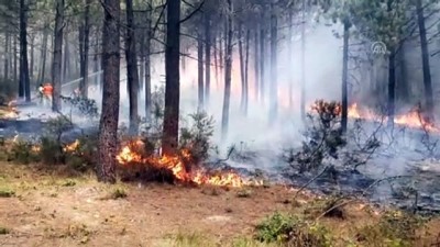 GÜNCELLEME - İstanbul'da Aydos Ormanı'nda Yangın