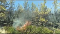 GÜNCELLEME - Muğla'da Çıkan Orman Yangını Söndürüldü