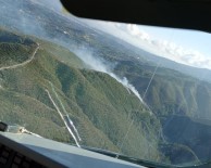 Hatay'da Orman Yangını