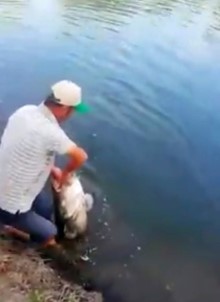 Meriç Nehri'nde Yakalandı, Tam 50 Kilo