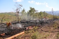 Suriye Sınır Hattında Orman Yangını Haberi