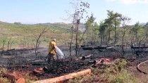 Suriye Sınırında 2 Ayrı Bölgede Orman Yangını Haberi