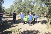 Bursa'daki Feci Cinayetin Ardından 'Zeytinlik' Çıktı