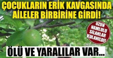 Çocukların erik kavgasında aileler birbirine girdi!