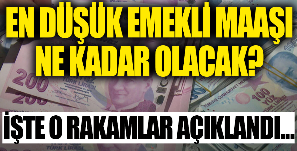 En düşük emekli maaşı ne kadar olacak? İşte o rakamlar açıklandı!