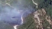 Kahramanmaraş'ta 4 Hektar Ormanlık Alan Yandı