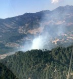 Kahramanmaraş'ta Orman Yangınında 4 Hektar Alan Zarar Gördü Haberi