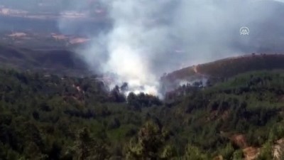 Mersin'de Çıkan Orman Yangını Söndürüldü