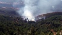 Mersin'de Çıkan Orman Yangını Söndürüldü Haberi