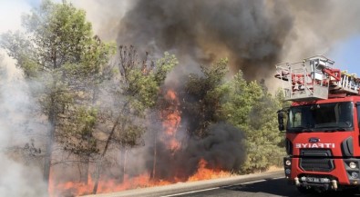 Şanlıurfa'da Korkutan Yangın