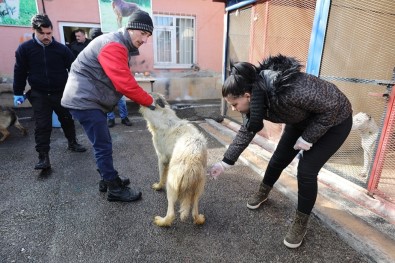 Sincan'da Çevre Dostu Ekip Her Daim Sahada Görev Alıyor