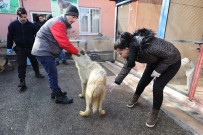 Sincan'da Çevre Dostu Ekip Her Daim Sahada Görev Alıyor