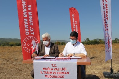 Ula'da 460 Dönümlük Alan Mera Olarak Hizmet Verecek