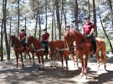 Atlı Polislerden Aydos Ormanı'nda Mangal Denetimi
