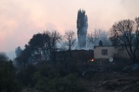 Ahmetli'deki Orman Yangınının Hasar Tespit Çalışmaları Başladı Haberi