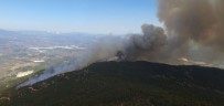 Aydın'da Başlayarak Muğla'ya Ulaşan Orman Yangını Kontrol Altına Alındı Haberi