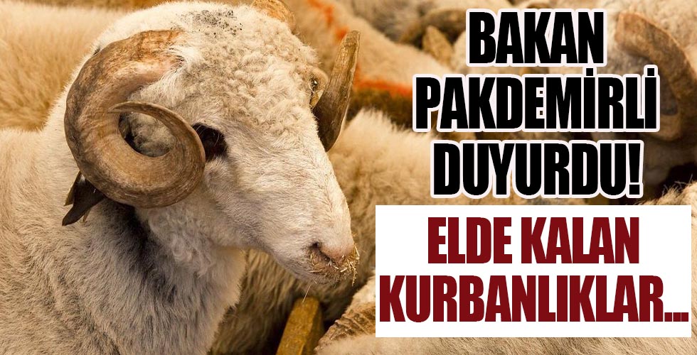 Bakan'dan elde kalan kurbanlıklarla ilgili flaş açıklama!