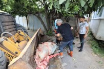 Başiskele'de Kurban Atıkları Anında Toplanıyor