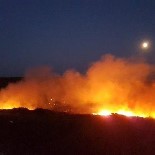 Bozcaada'da Çıkan Yangın Kontrol Altına Alındı Haberi